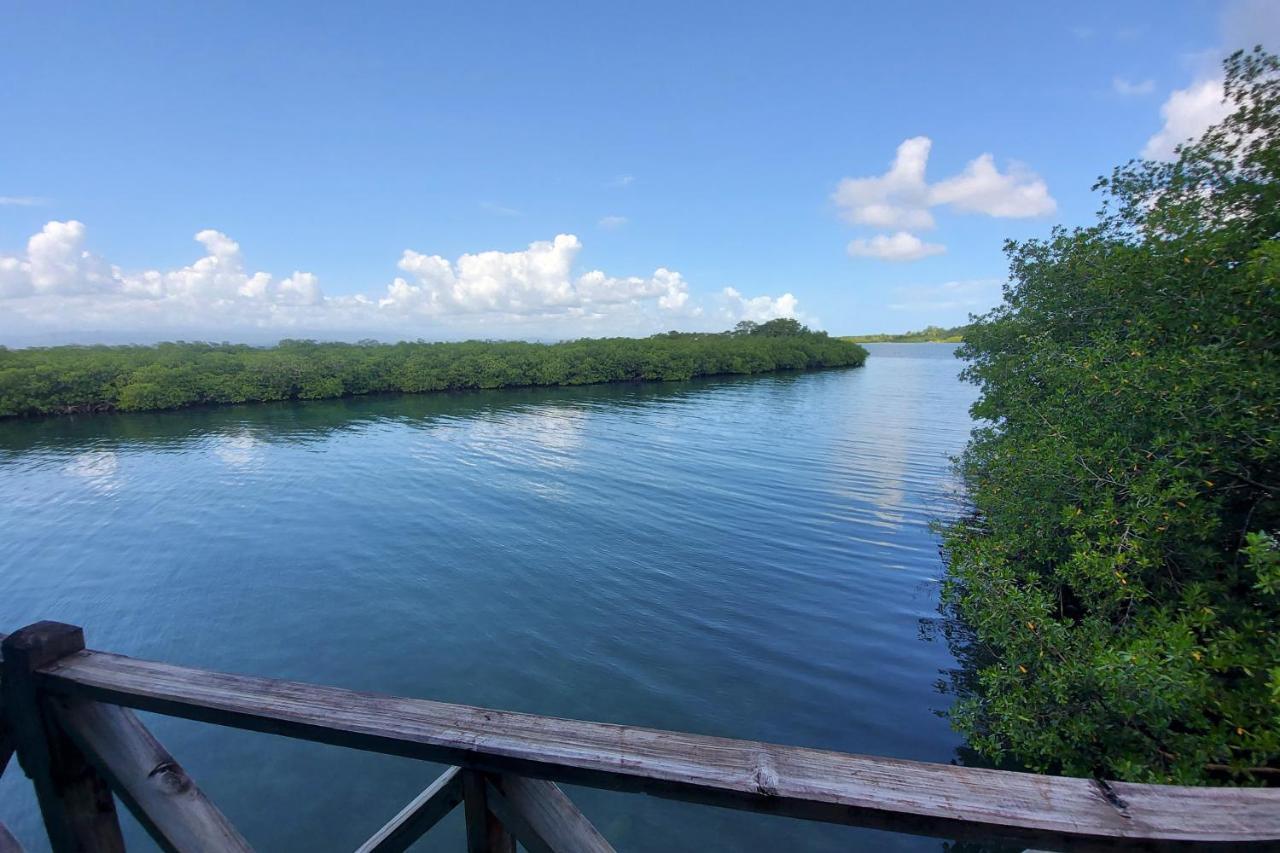 The Sunsetter Bed & Breakfast Bocas Town Exterior foto