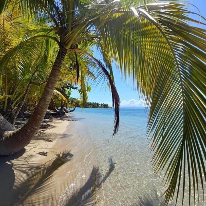 The Sunsetter Bed & Breakfast Bocas Town Exterior foto