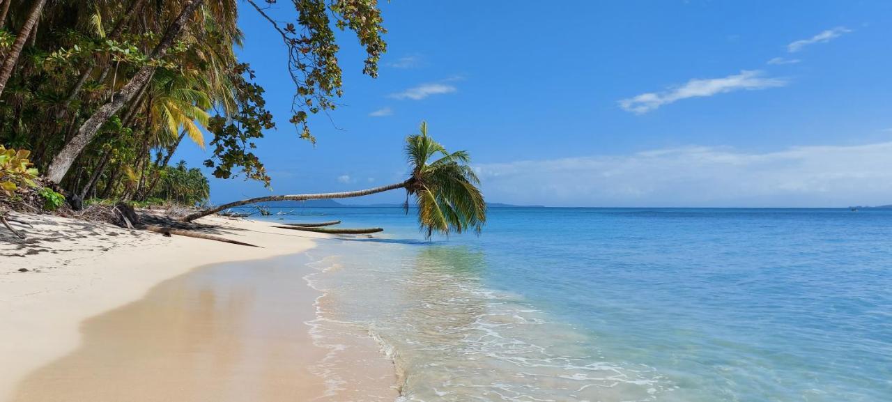 The Sunsetter Bed & Breakfast Bocas Town Exterior foto